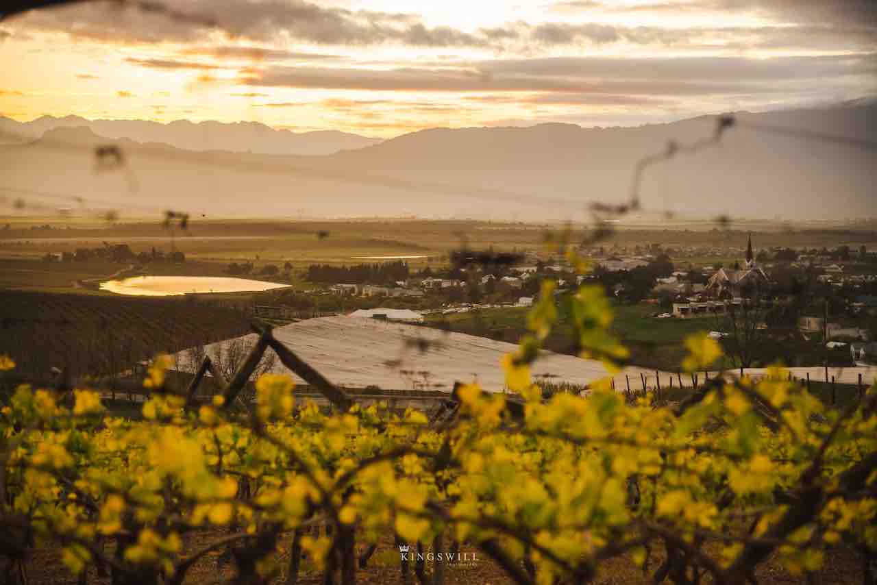 Riebeek Valley MTB & Trail Run
