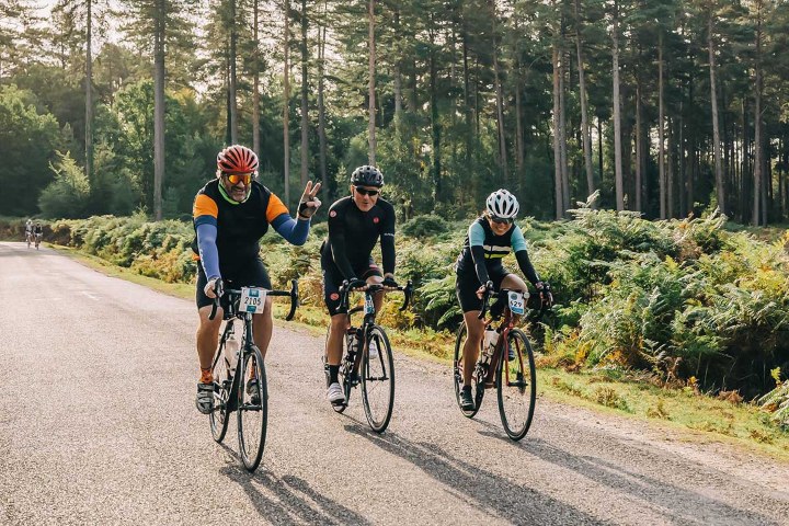 New Forest Tour